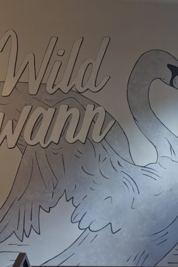 Wild Swann - The Grady